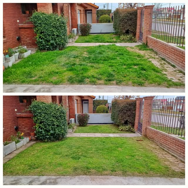 Antes y después de mantenimiento de un jardín residencial