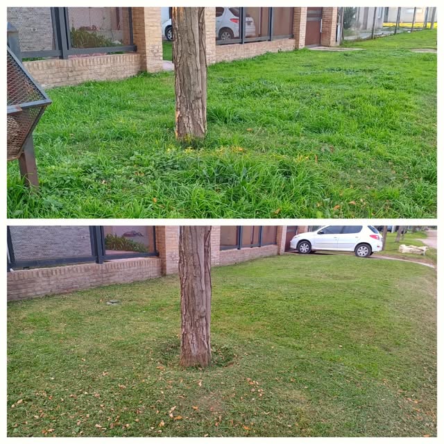 Antes y después de corte de césped en el frente de una propiedad